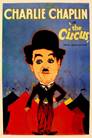 Image result for charlie chaplin the circus